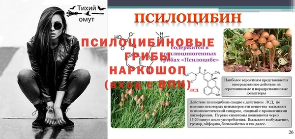 jwh Абаза