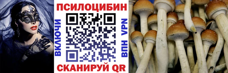 Псилоцибиновые грибы GOLDEN TEACHER  Тюмень 